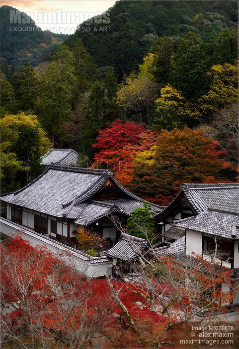 Stock photo of Autumn scenery of Nanzen-ji temple complex building rooftops in Sakyo-ku, Kyoto, Japan 2017 Buy commercial use license at MaximImages