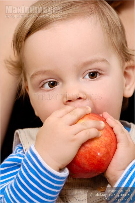 Stock photo of Baby boy eating apple Buy commercial use license at MaximImages