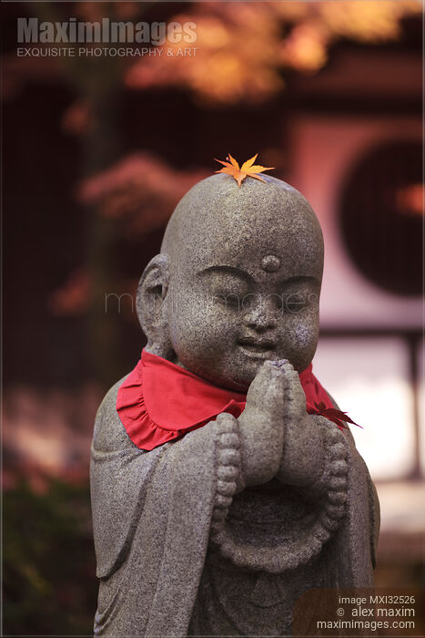 Baby Buddha blessed with a yellow maple leaf fallen on his head cute stone statue Japan Stock photo of Baby Buddha blessed with a yellow maple leaf fallen on his head cute stone statue Japan Buy commercial use license at MaximImages