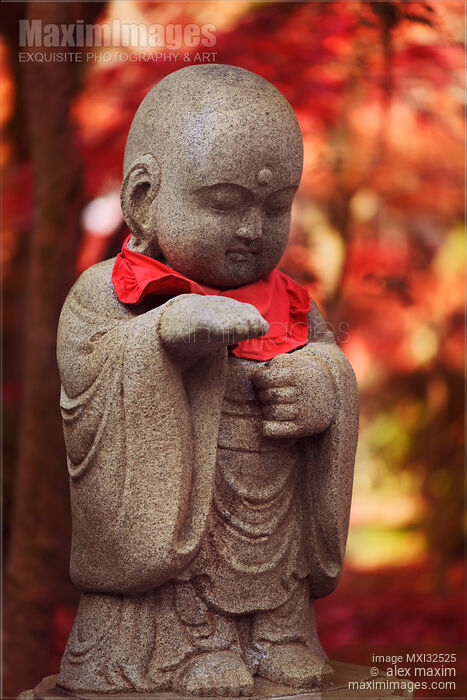 Baby Buddha cute stone statue in beautiful red autumn scenery Stock photo of Baby Buddha cute stone statue in beautiful red autumn scenery Buy commercial use license at MaximImages