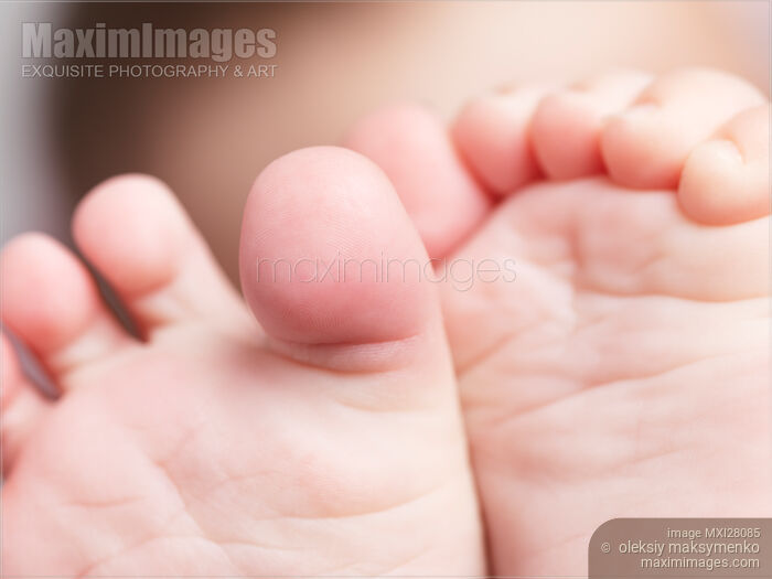 Stock photo of Baby toes closeup Buy commercial use license at MaximImages