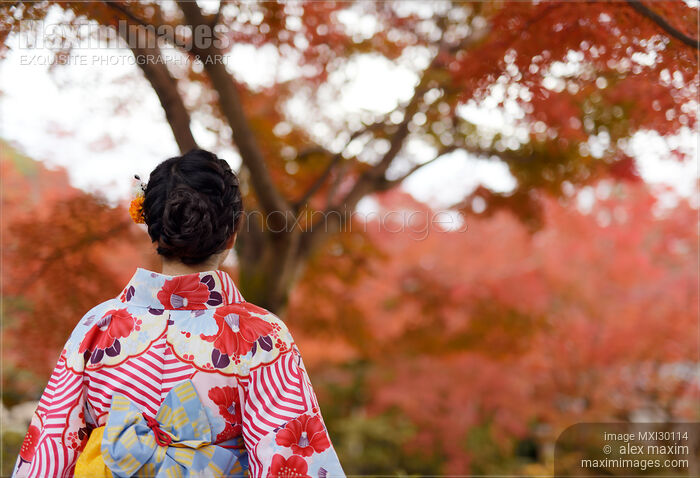 Back of Japanese woman in colorful yukata kimono in red autumn scenery in Kyoto Japan Stock photo of Back of Japanese woman in colorful yukata kimono in red autumn scenery in Kyoto Japan Buy commercial use license at MaximImages