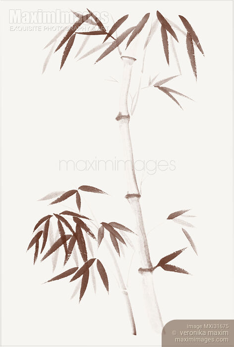 Bamboo stalk and a young root shoot with bushy leaves asian illustration in warm colors Stock image of Bamboo stalk and a young root shoot with bushy leaves asian illustration in warm colors Buy commercial use license at MaximImages