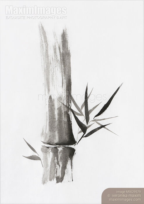 Stock image of Bamboo stalk Sumi-e Oriental Zen painting Buy commercial use license at MaximImages
