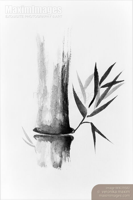 Stock image of Bamboo stalk Sumi-e Oriental Zen painting illustration Buy commercial use license at MaximImages