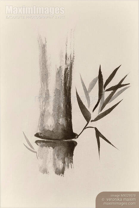 Stock image of Bamboo stalk Sumi-e Oriental Zen painting in sepia Buy commercial use license at MaximImages