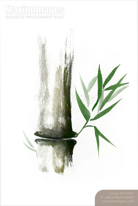 Stock image of Bamboo stalk with green leaves Sumi-e Oriental Zen painting Buy commercial use license at MaximImages