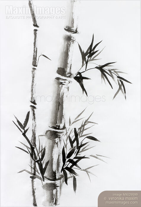 Stock image of Bamboo stalk with leaves Sumi-e rice paper Zen painting artwork Buy commercial use license at MaximImages