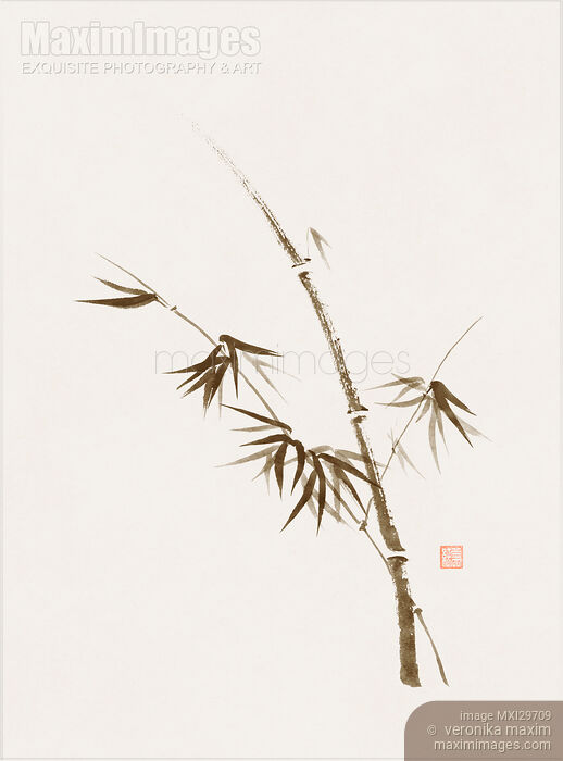 Stock image of Bamboo stalk with young leaves Delicate refined Zen style design on light beige background Buy commercial use license at MaximImages