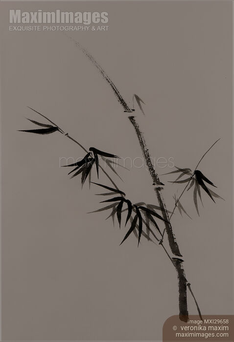 Bamboo stalk with young leaves minimalistic Sumi-e Japanese Zen design in natural colors Stock image of Bamboo stalk with young leaves minimalistic Sumi-e Japanese Zen design in natural colors Buy commercial use license at MaximImages