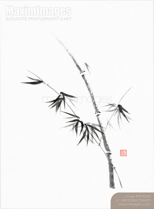 Stock image of Bamboo stalk with young leaves minimalistic Sumi-e Japanese Zen painting artwork Buy commercial use license at MaximImages