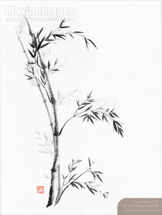 Bamboo stalks and leaves Zen style painting artwork on white rice paper Stock image of Bamboo stalks and leaves Zen style painting artwork on white rice paper Buy commercial use license at MaximImages