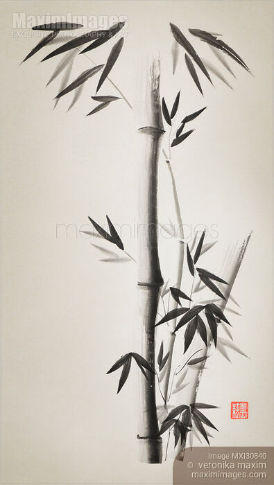 Bamboo stalks with leaves Japanese Zen Sumi ink painting on faded vintage rice paper Stock image of Bamboo stalks with leaves Japanese Zen Sumi ink painting on faded vintage rice paper Buy commercial use license at MaximImages