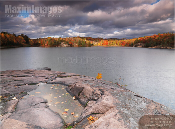 Beautiful atmospheric autumn landscape nature scenery Stock photo of Beautiful atmospheric autumn landscape nature scenery Buy commercial use license at MaximImages