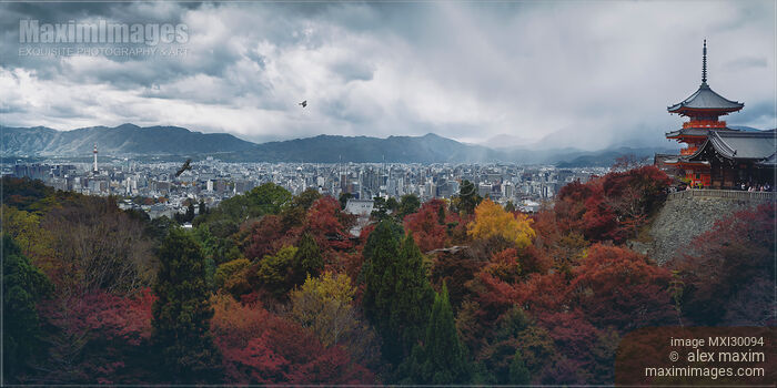 Stock photo of Beautiful atmospheric panorama of Kyoto city in autumn scenery and Kiyomizu-dera Sanjunoto pagoda Buy commercial use license at MaximImages