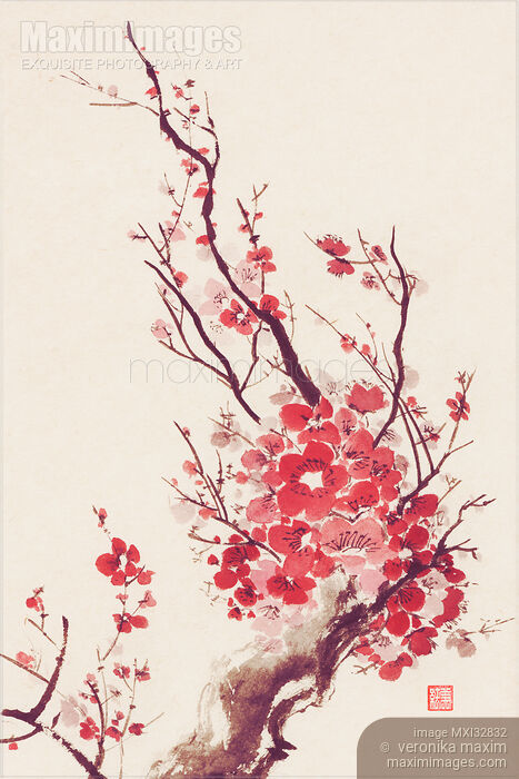 Stock image of Beautiful bright sakura blossom branch with red flowers Japanese Zen sumi-e painting Buy commercial use license at MaximImages