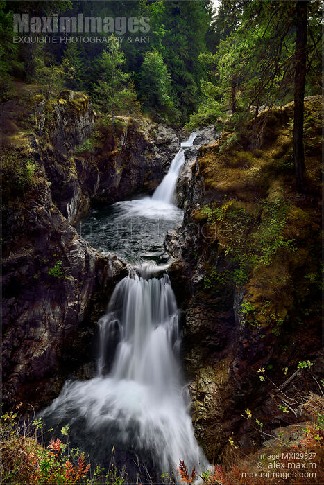 Stock photo of Beautiful cascade waterfall scenery at Little Qualicum Falls Provincial Park Vancouver Island Canada Buy commercial use license at MaximImages