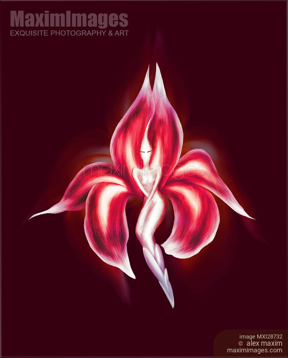 Stock image of Beautiful dancing lady exotic red flower illustration Buy commercial use license at MaximImages
