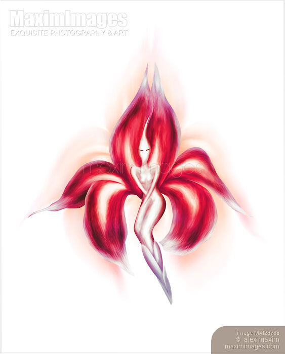 Beautiful dancing lady red flower artistic illustration Stock image of Beautiful dancing lady red flower artistic illustration Buy commercial use license at MaximImages