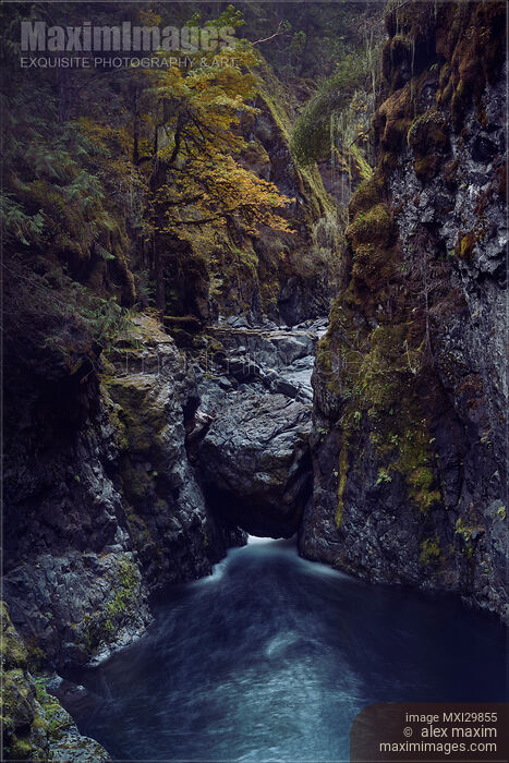 Beautiful fall nature scenery of Englishman River canyon on Vancouver Island Stock photo of Beautiful fall nature scenery of Englishman River canyon on Vancouver Island Buy commercial use license at MaximImages