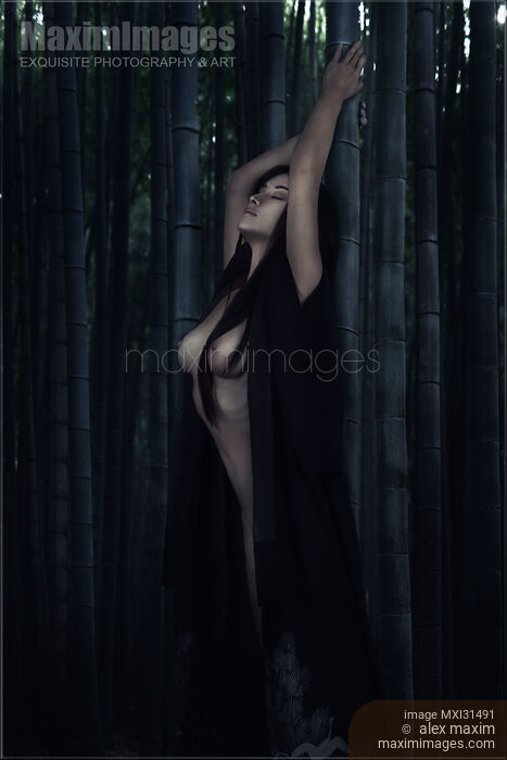 Beautiful half nude asian woman leaning against a bamboo in dark forest in undone kimono Stock photo of Beautiful half nude asian woman leaning against a bamboo in dark forest in undone kimono Buy commercial use license at MaximImages