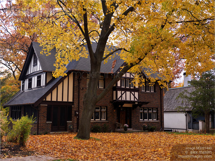 Stock photo of Beautiful Large Family House in Fall Buy commercial use license at MaximImages
