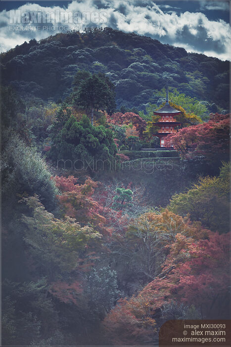 Stock photo of Beautiful misty autumn scenery of Koyasu pagoda at Kiyomizu-dera temple Kyoto Japan Buy commercial use license at MaximImages