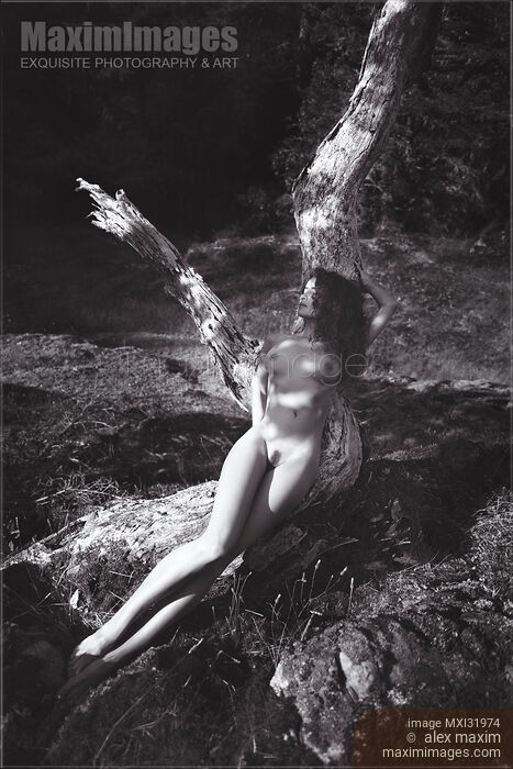 Beautiful naked woman lying on a trunk of a tree in the nature Black and white art nude Stock photo of Beautiful naked woman lying on a trunk of a tree in the nature Black and white art nude Buy commercial use license at MaximImages