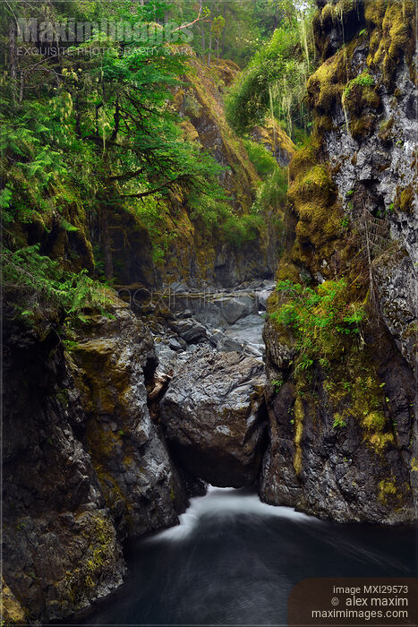 Beautiful nature scenery of Englishman River canyon on Vancouver Island Stock photo of Beautiful nature scenery of Englishman River canyon on Vancouver Island Buy commercial use license at MaximImages
