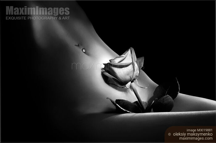 Beautiful Nude Female Body with a Rose Stock photo of Beautiful Nude Female Body with a Rose Buy commercial use license at MaximImages