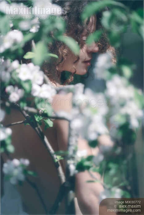 Beautiful nude woman behind white flowers of apple blossoms outdoors Stock photo of Beautiful nude woman behind white flowers of apple blossoms outdoors Buy commercial use license at MaximImages