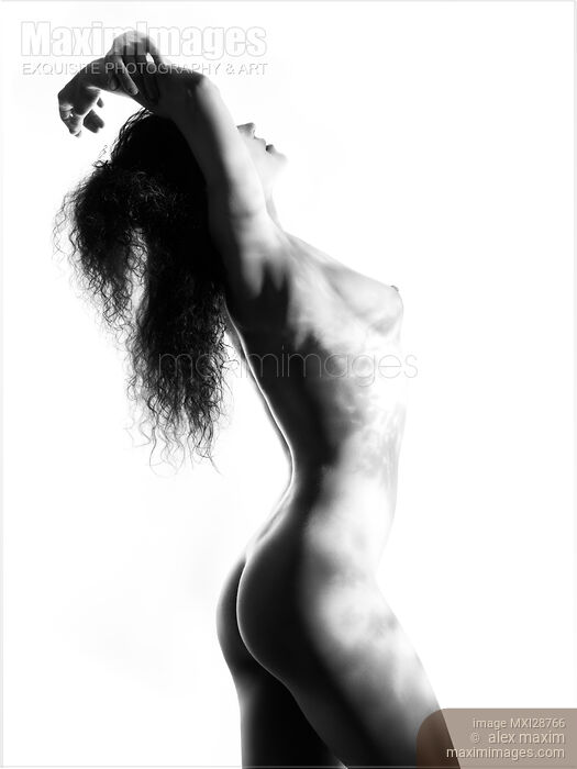 Beautiful nude woman body with light pattern of leaves Stock photo of Beautiful nude woman body with light pattern of leaves Buy commercial use license at MaximImages