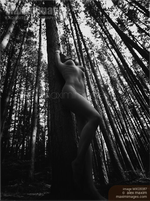 Stock photo of Beautiful nude woman leaning against tree in forest black and white Buy commercial use license at MaximImages