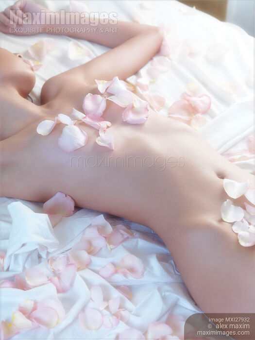 Beautiful nude woman lying in bed with pink rose petals on her body Stock photo of Beautiful nude woman lying in bed with pink rose petals on her body Buy commercial use license at MaximImages