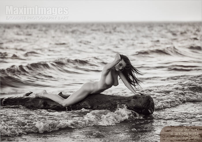 Stock photo of Beautiful nude woman lying on driftwood by the shore in sea water Fine art nude photography Buy commercial use license at MaximImages
