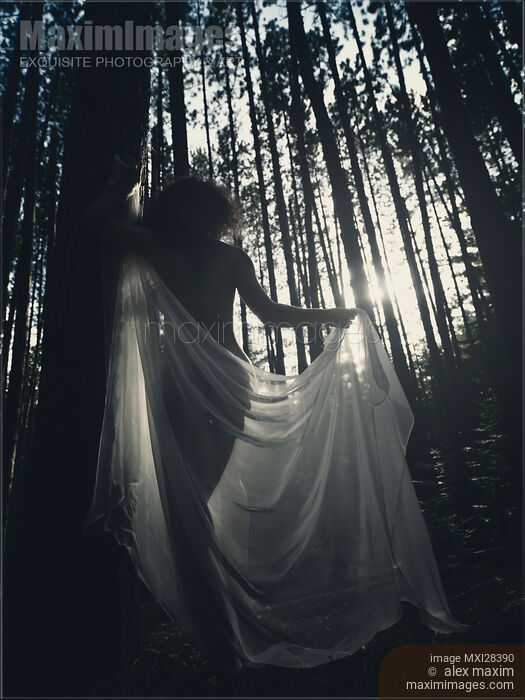 Beautiful nude woman with sheer shawl walking through forest in dreamy sunlight glow Stock photo of Beautiful nude woman with sheer shawl walking through forest in dreamy sunlight glow Buy commercial use license at MaximImages