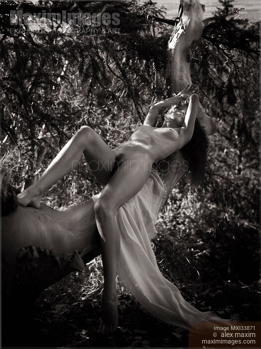 Beautiful nude young woman lying naked stretched on branch of arbutus tree over cliff in nature scenery Black and white Stock photo of Beautiful nude young woman lying naked stretched on branch of arbutus tree over cliff in nature scenery Black and white Buy commercial use license at MaximImages