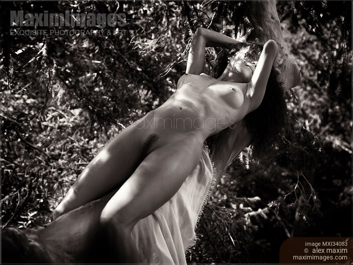 Beautiful sexy nude girl lying relaxed naked stretched on a branch of arbutus tree in the nature Black and white Stock photo of Beautiful sexy nude girl lying relaxed naked stretched on a branch of arbutus tree in the nature Black and white Buy commercial use license at MaximImages