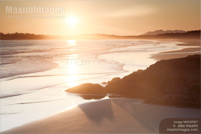 Beautiful sunset scenery of Pacific Rim National Park beach in Tofino BC Stock photo of Beautiful sunset scenery of Pacific Rim National Park beach in Tofino BC Buy commercial use license at MaximImages