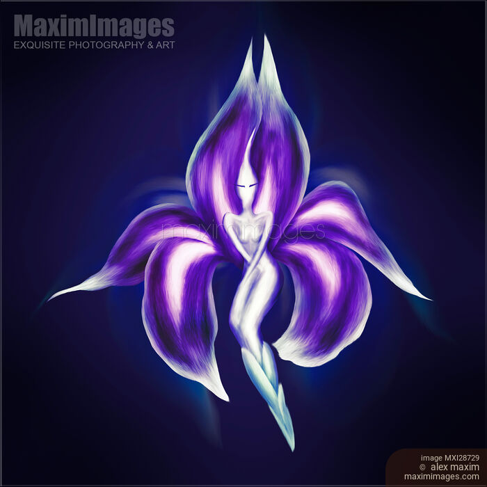 Stock image of Beautiful surreal purple dancing lady flower artistic illustration Buy commercial use license at MaximImages