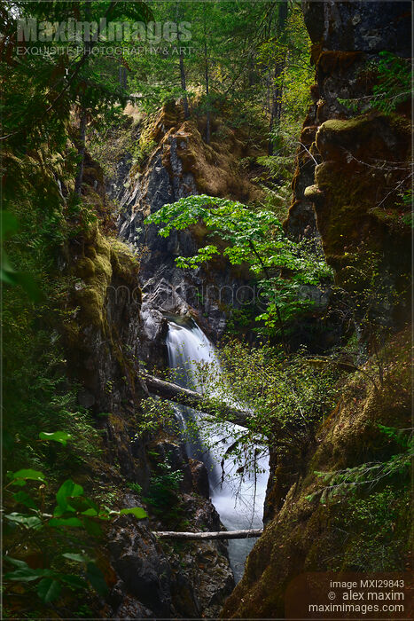 Beautiful waterfall and moss covered rocky cliffs at Little Qualicum Falls Vancouver Island Stock photo of Beautiful waterfall and moss covered rocky cliffs at Little Qualicum Falls Vancouver Island Buy commercial use license at MaximImages