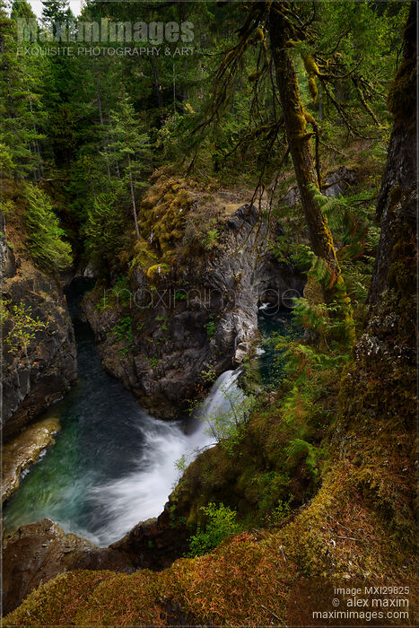 Beautiful waterfall at Little Qualicum Falls Provincial Park Vancouver Island Stock photo of Beautiful waterfall at Little Qualicum Falls Provincial Park Vancouver Island Buy commercial use license at MaximImages