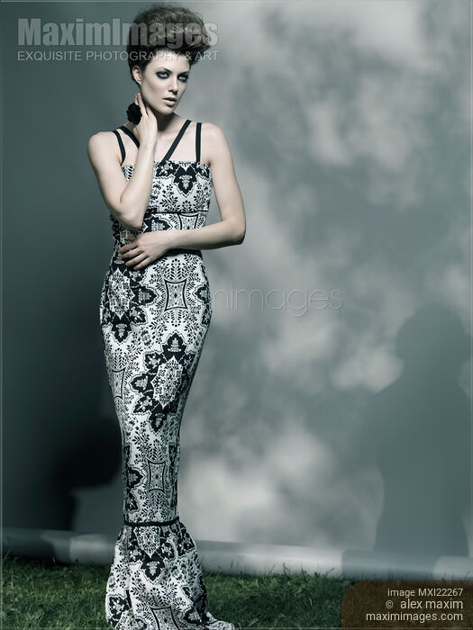 Beautiful Woman in Elegant Dress Stock photo of Beautiful Woman in Elegant Dress Buy commercial use license at MaximImages