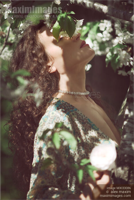 Beautiful woman profile of her face with closed eyes in cherry tree blossom white flowers Stock photo of Beautiful woman profile of her face with closed eyes in cherry tree blossom white flowers Buy commercial use license at MaximImages