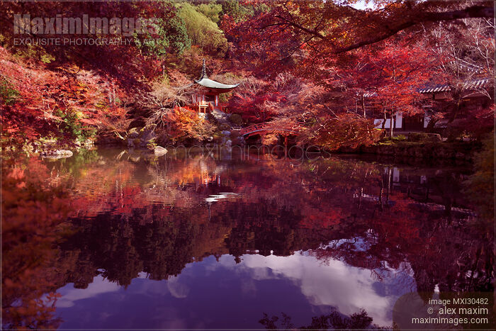 Bentendo Hall pond surreal colorful autumn scenery at Daigoji temple Kyoto Stock photo of Bentendo Hall pond surreal colorful autumn scenery at Daigoji temple Kyoto Buy commercial use license at MaximImages