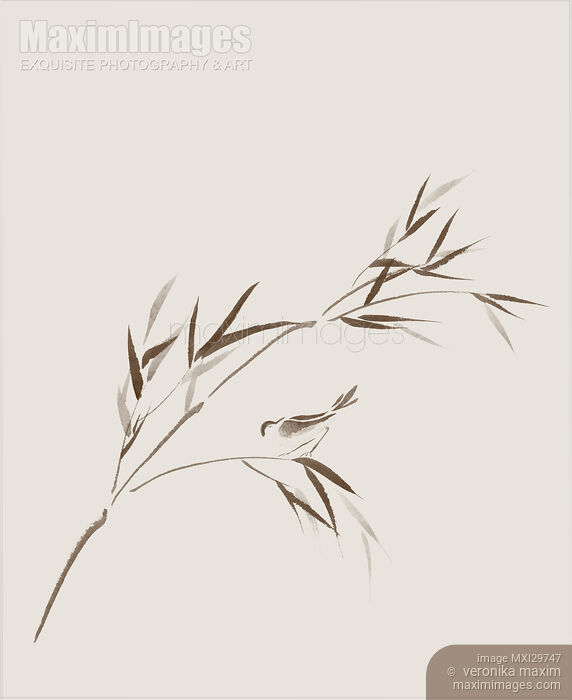 Stock image of Bird on a bamboo branch Delicate romantic Zen style design on light beige background Buy commercial use license at MaximImages