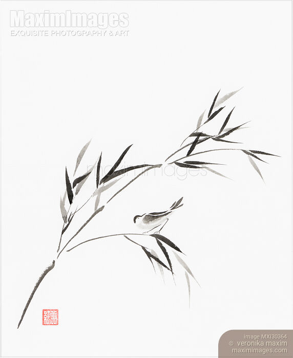 Stock image of Bird on a bamboo branch Japanese Zen Sumi-e painting on white rice paper Buy commercial use license at MaximImages