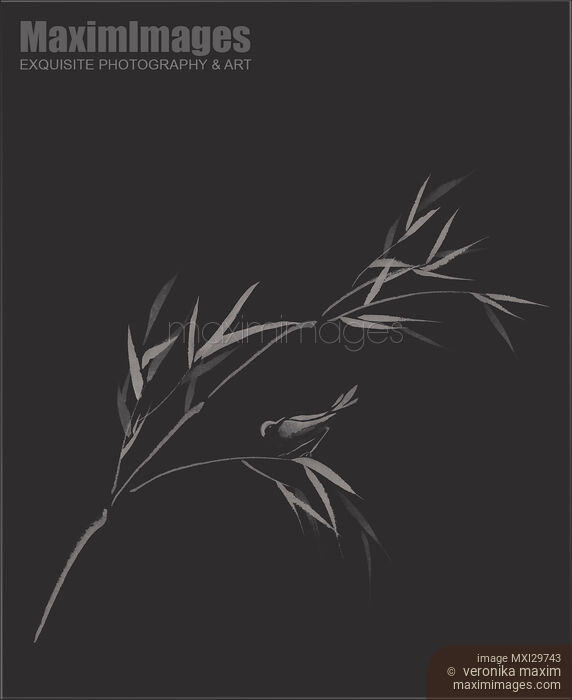 Stock image of Bird on bamboo branch elegant Zen art design in modern contrast colors on black background Buy commercial use license at MaximImages