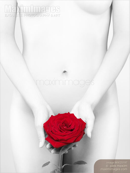 Stock photo of Black and white nude Woman with a Red Rose Buy commercial use license at MaximImages