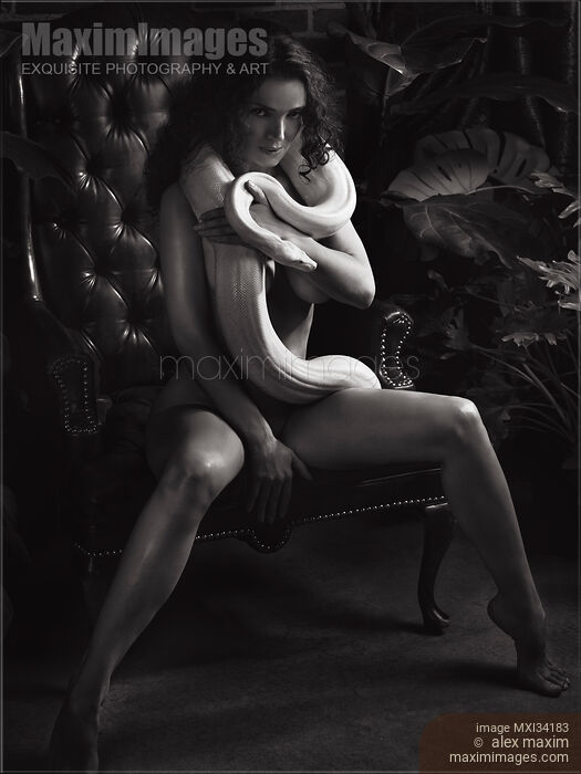 Stock photo of Black and white portrait of a seductive woman sitting in a chair with a white boa snake coiled around her naked body Buy commercial use license at MaximImages